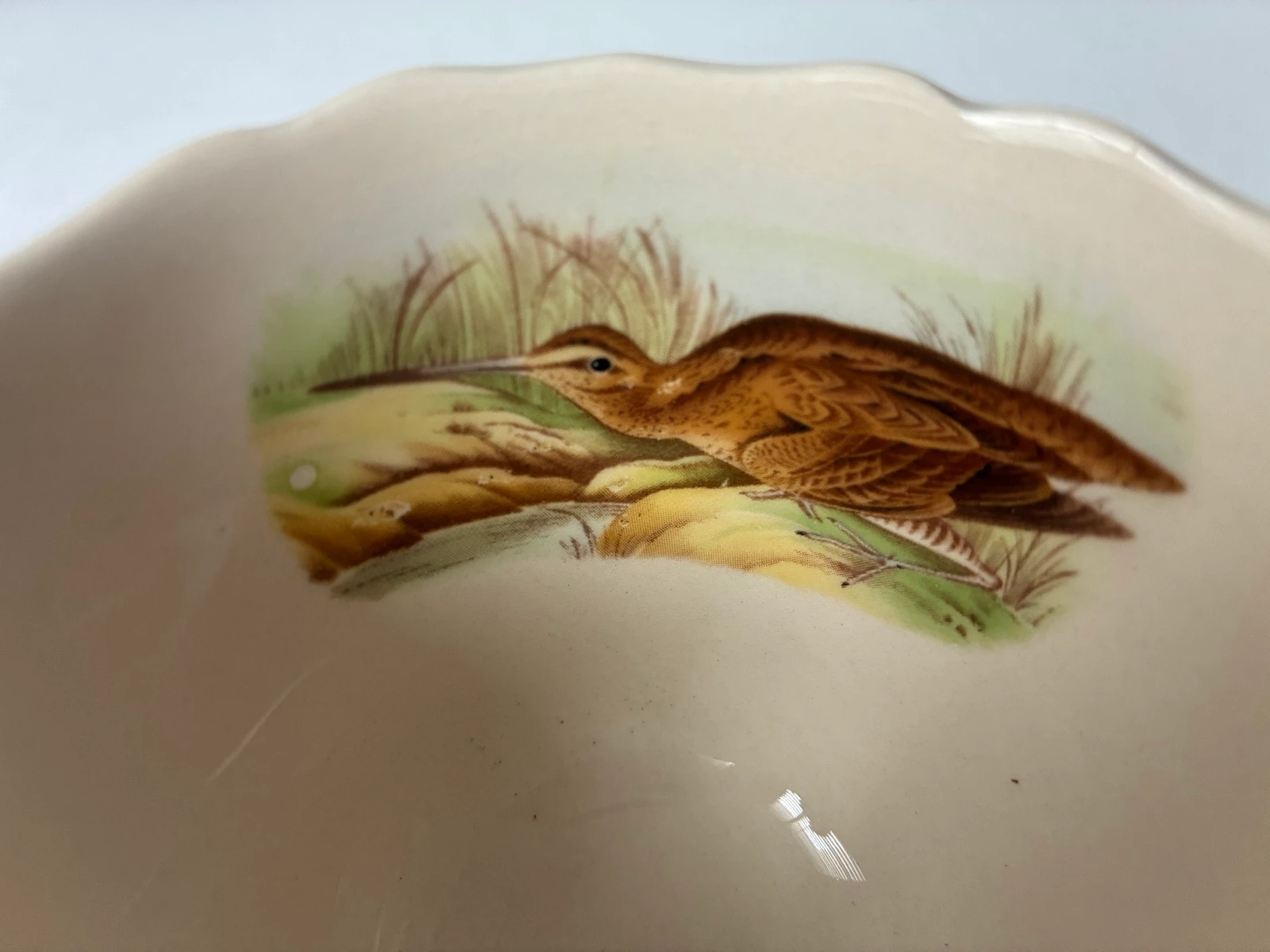 Vintage Spode Woodland Quail Cup and Saucer – photo 12
